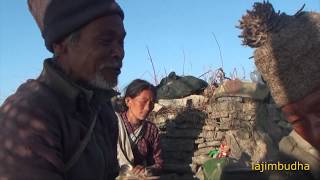 preview picture of video 'village economy depend upon shepherd family || shepherd life || nepali shepherd || pastoral life ||'
