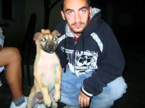 T Tlassy ft iCe-b   Rreshtat e Fundit 2011 New