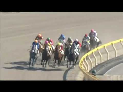 2017.11.05 2yo Newcomer (JPN) - Epic Un