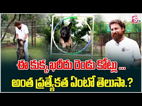 Mantravadi Chandrasekhar About Most  Expensive Dog Breed || Anchor Manjusha || SumanTV Prime
