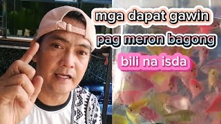 PART 7... GANITO ANG GAWIN MO, PAG MAY BAGONG BILI NA ISDA / PAGLILINIS NG AQUARIUM