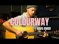 Colourway Novo Amor Guitar Lesson w Tabs