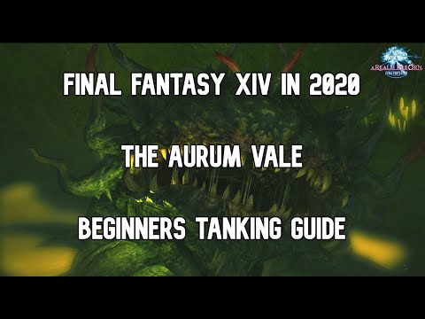 Final Fantasy XIV in 2020 - A New Player's Guide - The Aurum Vale - Part 19