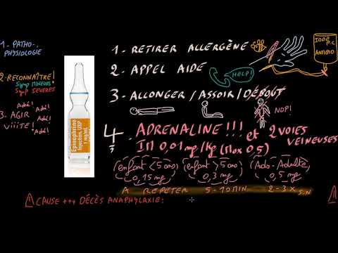Anaphylaxie - Docteur Synapse