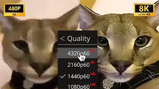 When Beluga Turned on 8K in a Video...