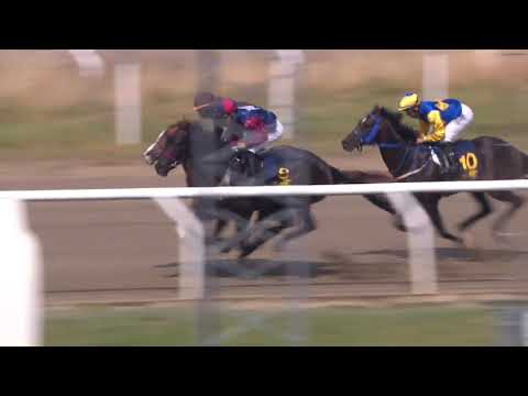 Malmo Stads Pris 2019 - Plantstepsdream