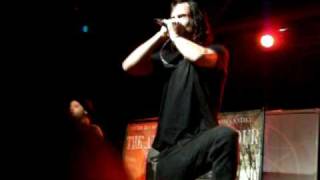 Molotov Solution - The Harbinger