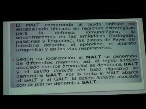 Dr EDUARDO KREMENCHUTZKY - HISTOLOGIA RAZONADA - ORGANOS LINFATICOS