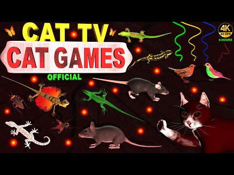 CAT GAMES LASER 🔴MOUSE & LIZARD ULTIMATE COMPILATION VIDEO FOR FELINE FRIENDS | CAT TV 4K 8 HOURS