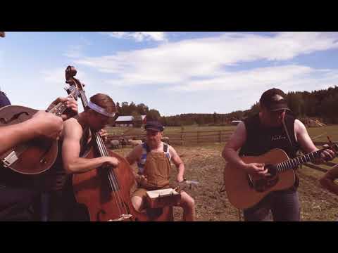Gimme All Your Lovin' by Steve'n'Seagulls (LIVE)