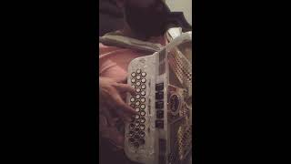 Los Palominos - Ya no existe