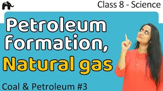 Coal and Petroleum Class 8 Science chapter 5 || Petroleum, Natural Gas formation| CBSE #3