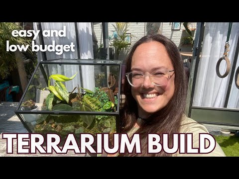 How to make a terrarium? Easy and low budget | Plant with Roos