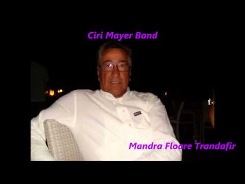 Ciri Mayer Band - Mandra FloareTrandafir