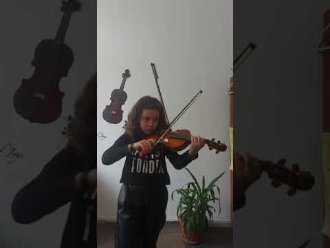 GEANTA MANOLIU VOLUMUL II LECTIA12/5