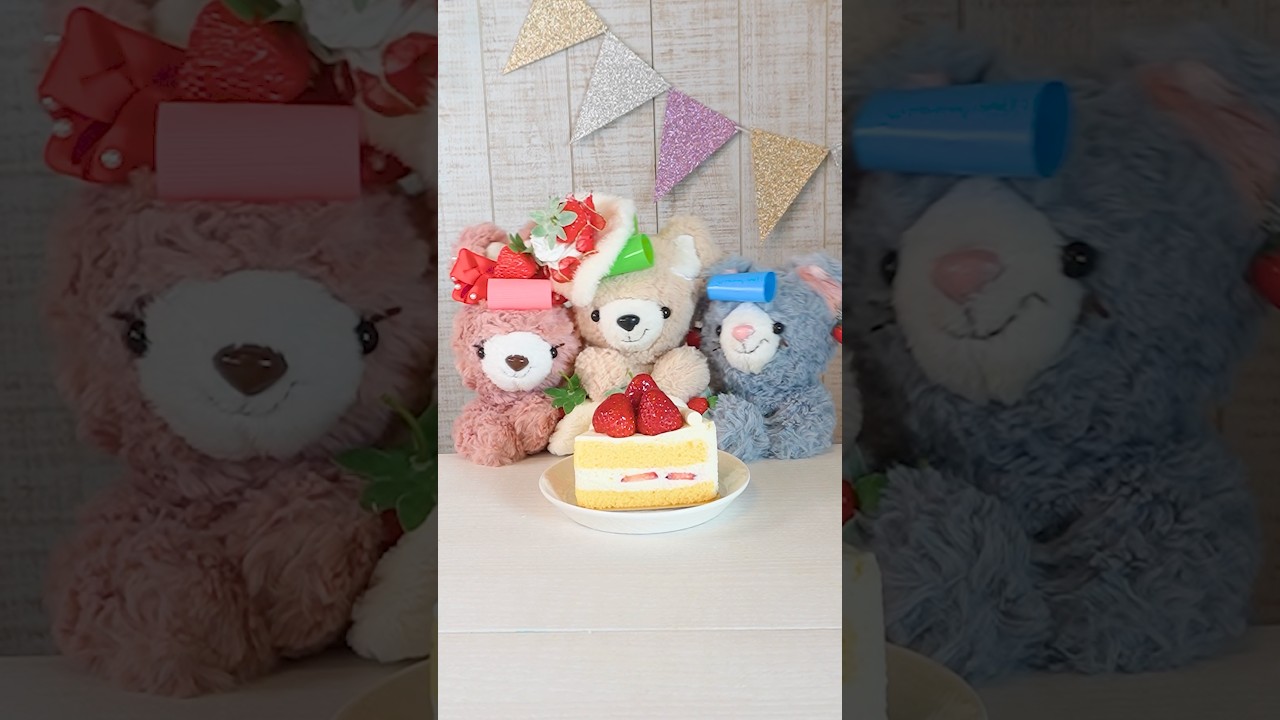 今日はププのお誕生日🎂It’s my birthday