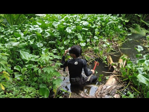 SE02EP098 Part 2 - "MATA sa MATA" | Ang MALA AMAZON RIVER ng SAN PABLO CITY,  LAGUNA