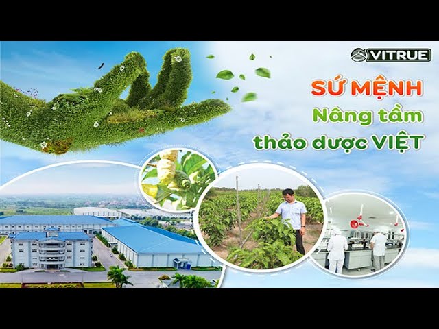 Giới thiệu nhà máy Anvyherbs
