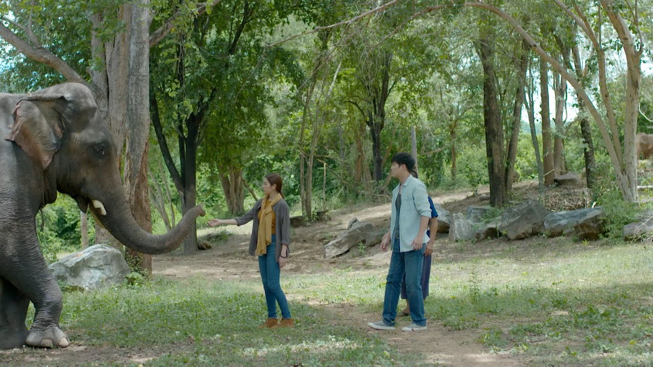 ปิ่นไพร [Official Teaser] Ver.2