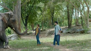 ปิ่นไพร [Official Teaser] Ver.2