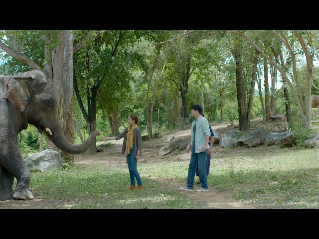 ปิ่นไพร [Official Teaser] Ver.2