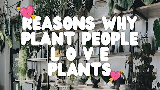 reasons to love plant parenthood and a few feel good stories 🥹🥹