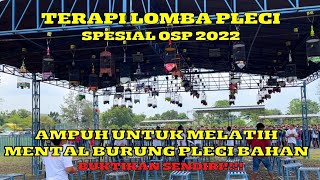 Download lagu Terapi Lomba Pleci ampuh untuk melatih mental burung pleci 100% di jamin langsung nyaut mp3 Download lagu Terapi Lomba Pleci ampuh untuk melatih mental burung pleci 100% di jamin langsung nyaut mp3
