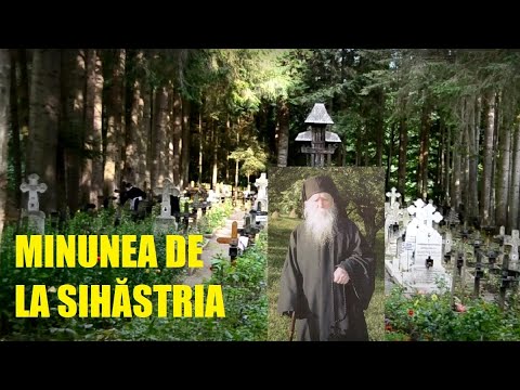 Father Cleopa was SEEN in the cemetery at Sihăstria Monastery: he seemed detached from another world