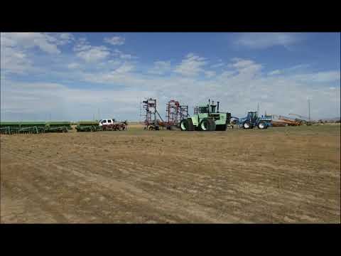 STEIGER COUGAR III PTA280 For Sale