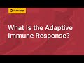 What Is the Adaptive Immune Response?