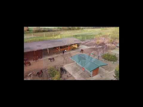 Impressionen Pferdehof Herbst 2020