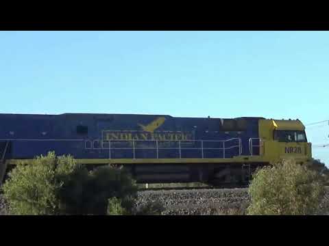 3PM4 Freight with Indian Pacific and Pacific National NR107
