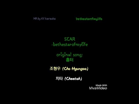 Scar (흉터) english cover by bethestarofmylife lyrics video