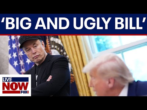 Video | Elon Musk on Trump: 'Without me, Trump would have lost the election'
