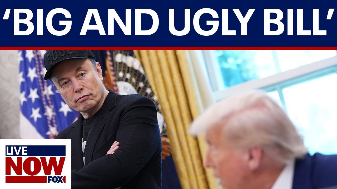 Elon Musk on Trump: 'Without me, Trump would have lost the election'