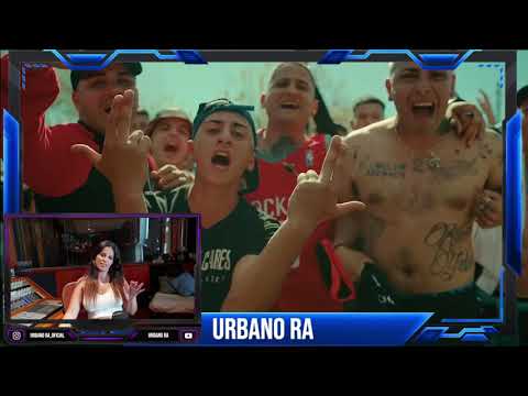 REACCION / LaNota - LEAL A LA MAFIA REMIXft @Fili - wey / @Callejero Fino / @Cotto Rng / #urbano