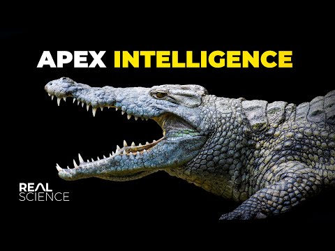 The Insane Biology of: The Saltwater Crocodile