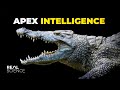 The Insane Biology of: The Saltwater Crocodile DEFAULT Thumbnail