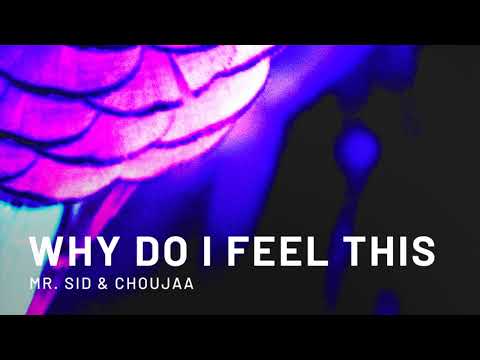 Mr. Sid & Choujaa - Why Do I Feel This「 1 Hour  ♬」