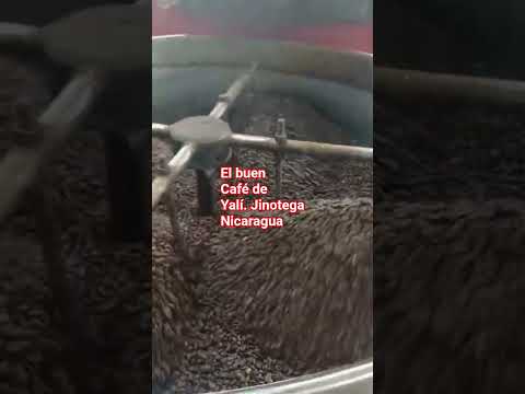 El buenCafé de Yalí. Jinotega Nicaragua