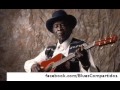 David 'Honeyboy' Edwards - Cultural Center  Charleston, W.V. 1991