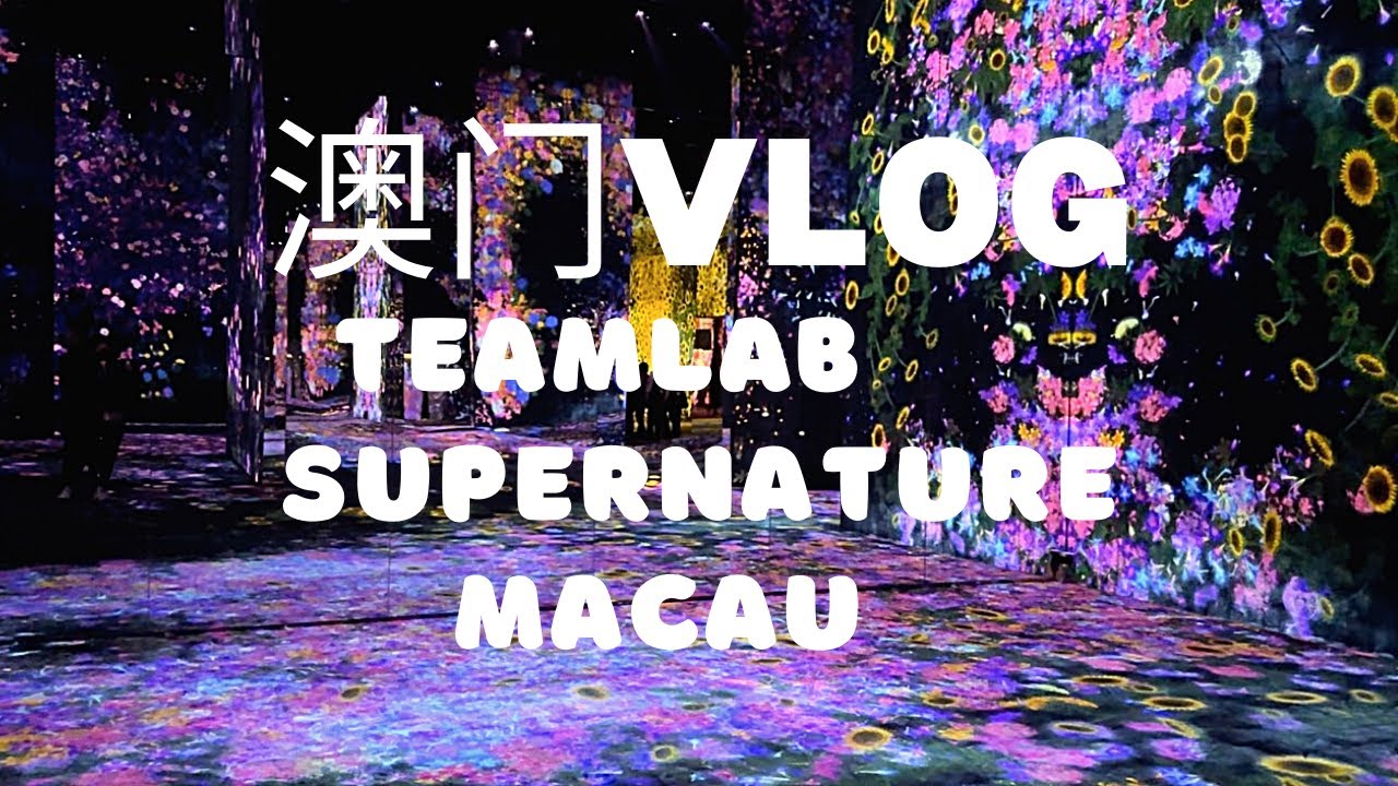 Watch tourist exploring the teamLab Supernature exhibition and sharing their experience