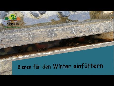 , title : 'Wintereinfütterung der Bienen, Futterzargen'