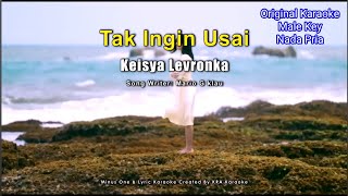 Download lagu Tak Ingin Usai - Keisya Levronka KARAOKE Original (Male Key) Nada Pria [HQ Audio] mp3
