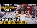 Killer SHOULDERS & BICEPS Workout! Cycle 5 (Hindi / Punjabi)