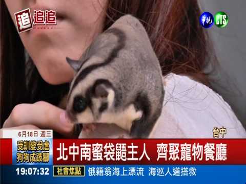 寵物餐廳吃人夠夠 主餐等了4小時