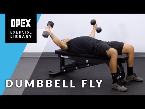 Watch Dumbbell Flyes on YouTube