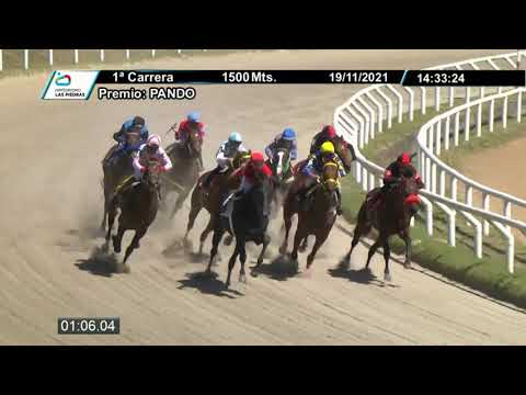211119 c01 - POTRI CHULA (BRZ) - HIPODROMO LAS PIEDRAS