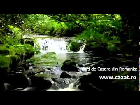 Cazare Milostea, Valcea - Cazat.ro