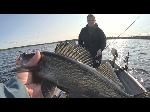 Paluu kuhaparatiisiin osa 3/3 | Uudet vedet ja vettä taivaan täydeltä | Kalaakin löydettiin.